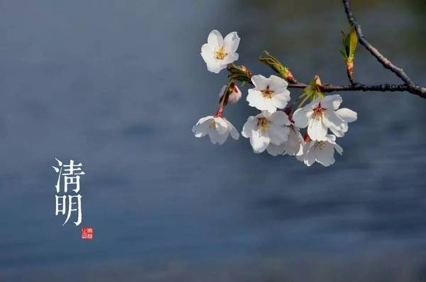 2016清明節(jié)放假通知